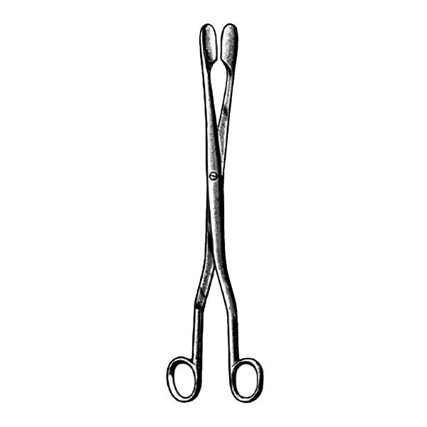 Forcep Tissue Winter 11